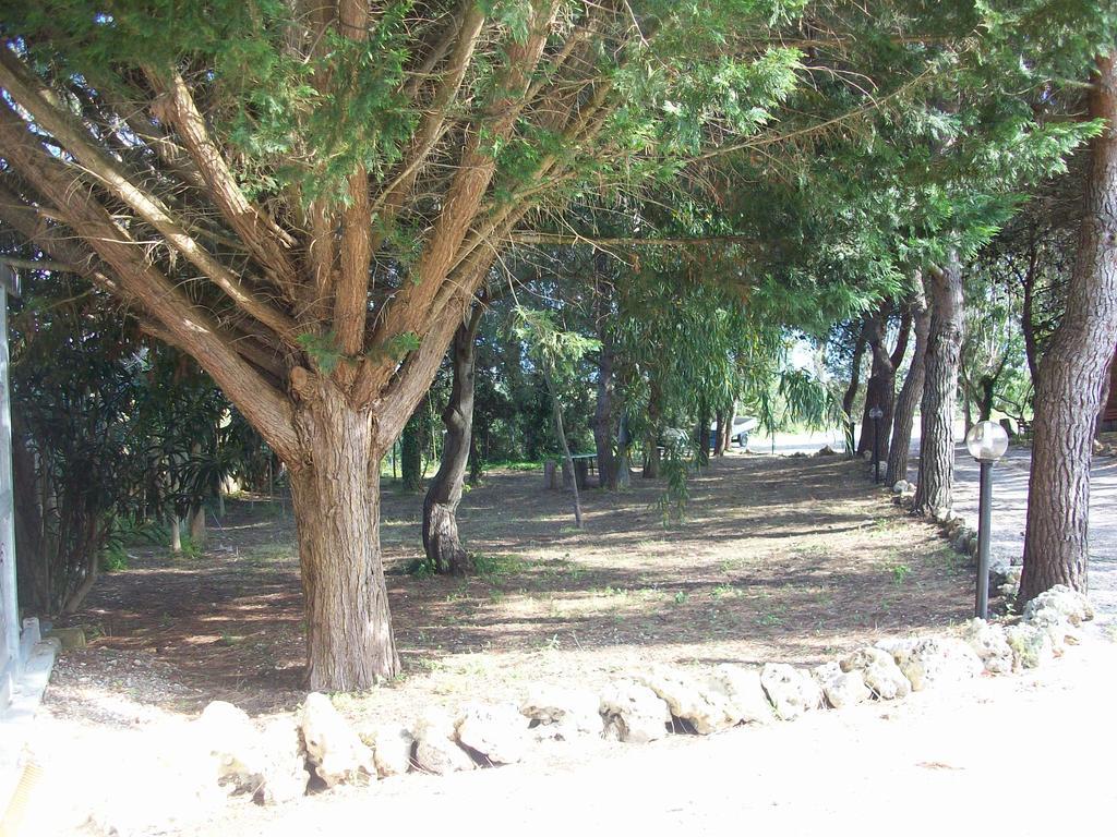 Appartamenti Turistici Aprile Antonio Luigi Borgagne Bagian luar foto